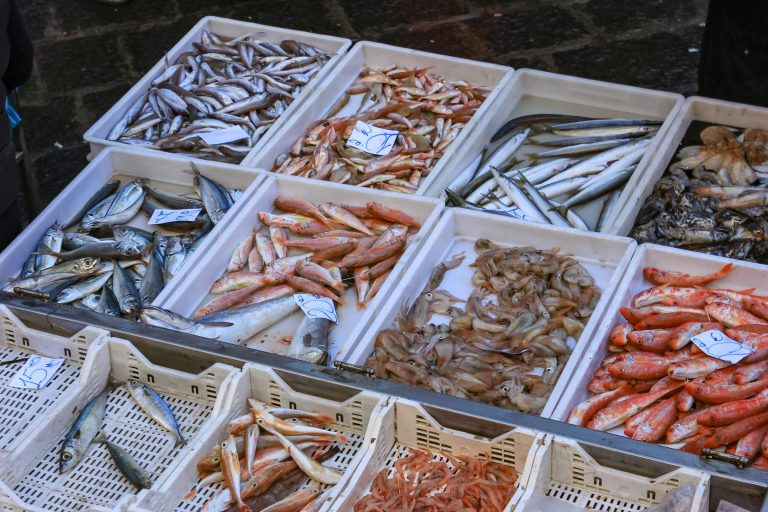 eating seafood in abruzzo region