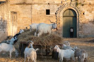 best agriturismo stays near l'aquila abruzzo