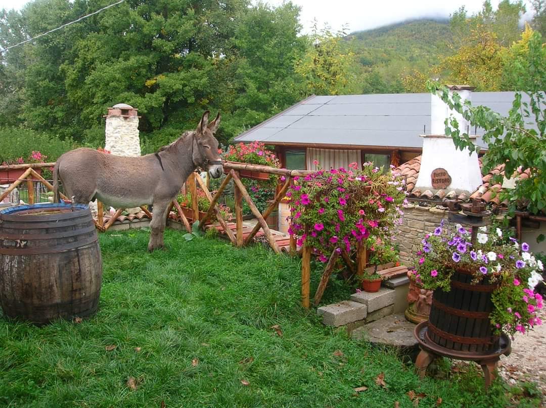 la canestra aglioni agriturismo l'aquila